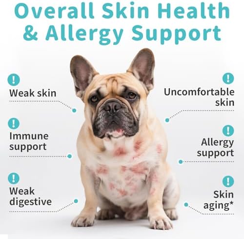 Dog Allergy Relief Soft Chews - Skin & Gut Health, Beef, 90 Count