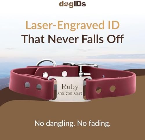 dogIDs Personalized Dog Collar – ScruffTag Custom Waterproof Biothane Dog Collar with Laser-Engraved Name, Durable & Odor-Resistant – USA Made | Wine, 1 in x 20 in (Fits Neck Sizes 18-22 in)