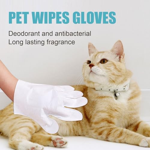Pet Wash Free Grooming Gloves, 6Pcs Cleaning Cat Dog Wipes for Face, Ear, Eye, Paws Pet Body Rinse Free Gloves, No Rinse Thick Extra Puppy Wipes, Disposable Plant-Based Dog Bath Wipes