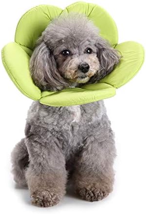 Dog Cone E-Collar Flower Soft Elizabethan Waterproof Grooming Recovery Protective Adjustable Collar for Puppy Small Medium Dogs (L Neck: 13-15in, Green)