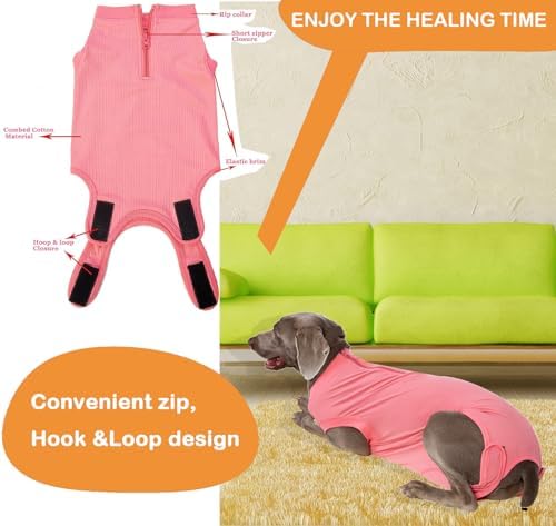 Recovery Suit for Female Dogs, Dog Cone Alternative After Spay