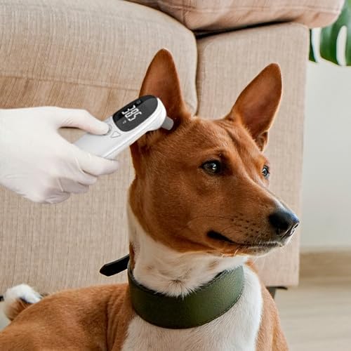 Dog Ear Thermometers High-Precision, Double-Mode Design, Clear LED Display