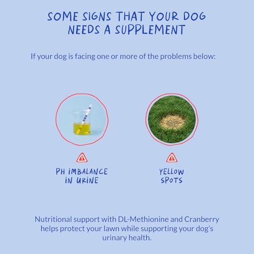 Grass Burn Spot Chews - Dog Urine Neutralizer & Lawn Protector