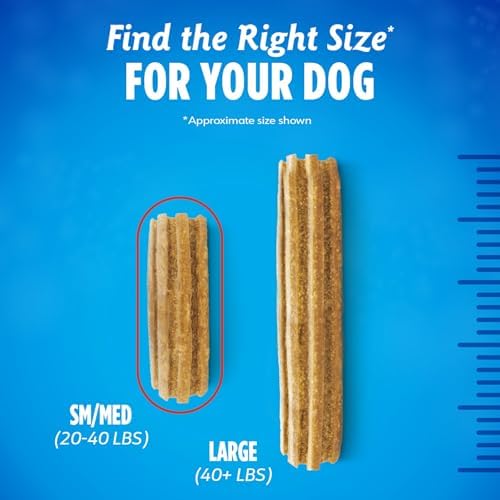 Dentalife Plus Digestive Support Dog Treats for Small and Medium Dogs, Cleans Teeth, Freshens Breath, & Supports Healthy Gut, Chicken & Pumpkin Flavor, 14.4 oz., 19 Chews - 19 ct. Pouch, (Pack of 2)