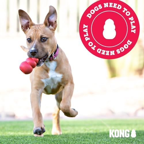 KONG Wild Knots Giraffe Dog Toy (Small/Medium) Durable Internal Knotted Rope, Minimal Stuffing for Less Mess – Soft Plush Chew Toy for Dogs