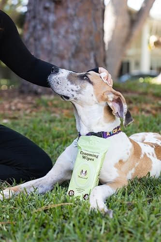 Natural Dog Company XL Dog Wipes for Paws and Butt - 50 Count