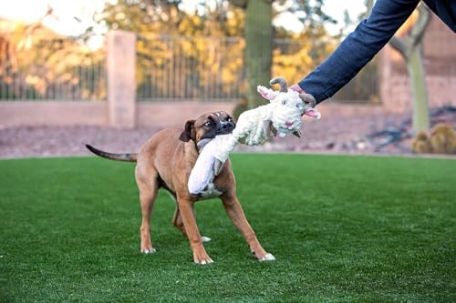 Jolly Pets Fat Tail Cow Plush Squeaky Dog Toy, Large