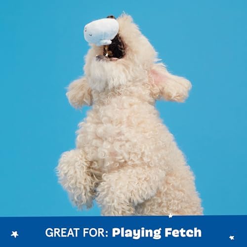 BarkBox Andi's Dumplings 4-in-1 Interactive Plush Dog Toy