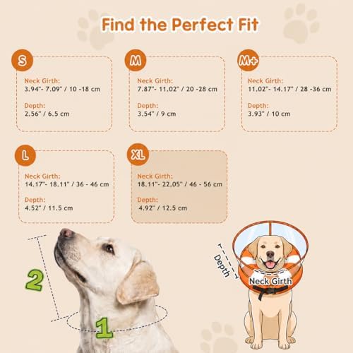 Avont 2-in-1 Dog Cone XL Swimring Shield