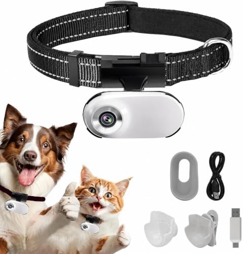 HD 1080P Cat POV Camera Collar with Video Record, Mini Small Sports Video Cameras, Body Cam Outdoor/Inoor No WiFi, Unique Pet Supplies Gift for pet Owners, Dog Moms, cat dads, Ideal Gift