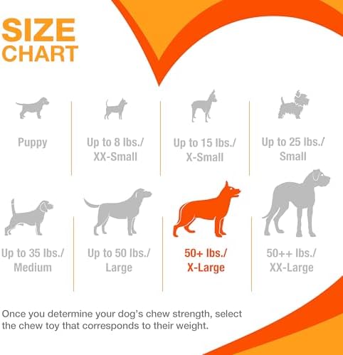 Nylabone Power Chew Dental Groove Bone Dog Chew Toy, Flavor Medley, X-Large