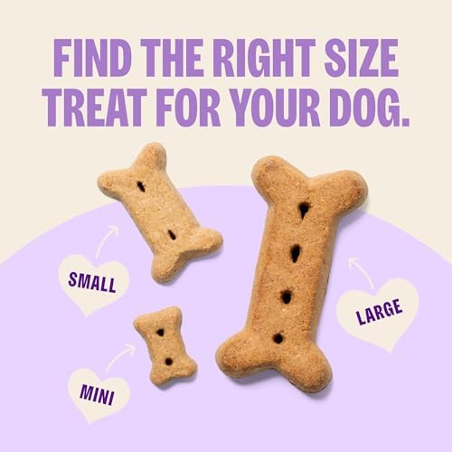 Wellness Old Mother Hubbard Classic Original Mix Dog Biscuits, Natural Training Treats, 4 Flavors, Small Size, 20 oz Bag