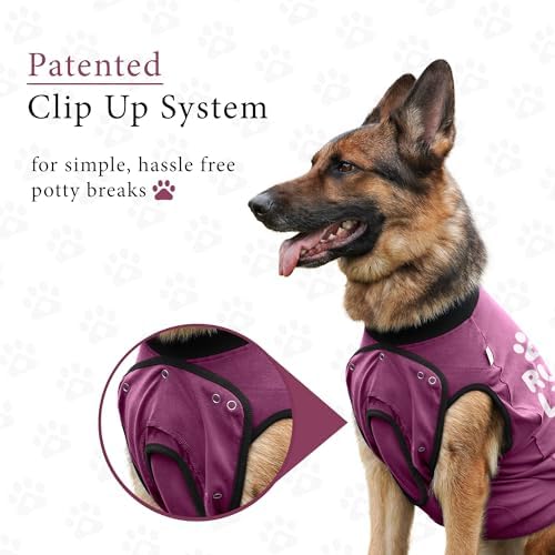 BellyGuard Dog Surgery Recovery Suit, Male Female After Spay Neuter Onesie
