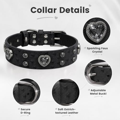 Rhinestone Dog Collar with QR ID Tag, Ostrich-Embossed, Black, M | Crystal Dog Collar with Ostrich-Embossed Texture, Adjustable Waterproof Fit and QR Scan Pet ID for Stylish Daily Wear