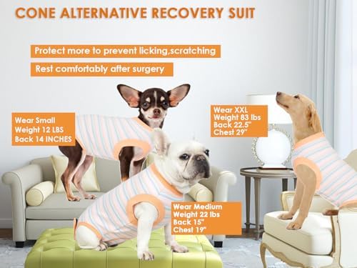 Recovery Suit for Female Dogs, Dog Cone Alternative After Spay