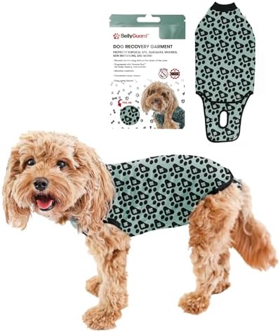 BellyGuard Dog Surgery Recovery Suit, Male Female After Spay Neuter Onesie