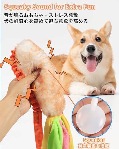 SCHITEC Tug Toy for Dogs, [2 Pack] Bungee Tug of War Squeaky Rope Toys for Exercise & Interactive Play Games, Puppy Training Pull Toy for Small Medium Large Dog