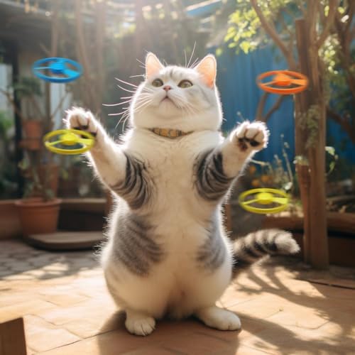 22PCS Cat Fetch Toys, Interactive Flying Cat Toy with Flying Propellers, Cat Kitten Tracks Toy for Training Hunting Chasing