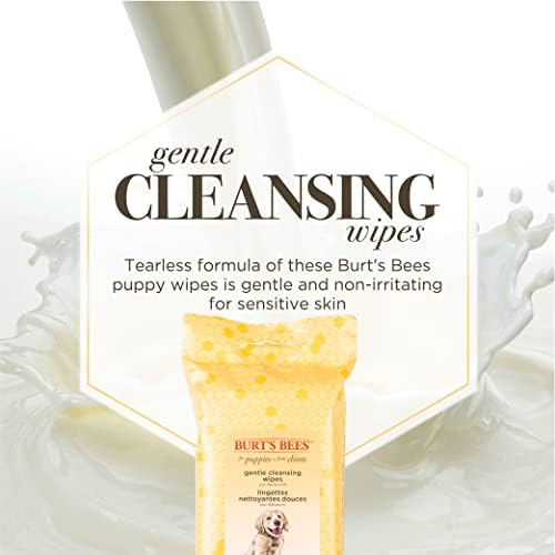 Burts Bees for Pets Gentle Cleansing Puppy Wipes, Buttermilk, 50 Ct, 6-Pk