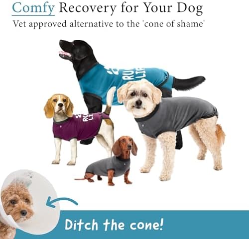 BellyGuard Dog Surgery Recovery Suit, Male Female After Spay Neuter Onesie