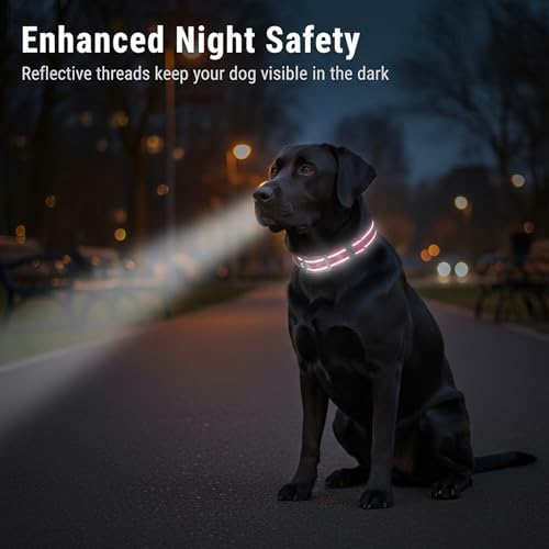Reflective Dog Collar for XLarge Dogs Wide Padding 6 Holes Adjusta
