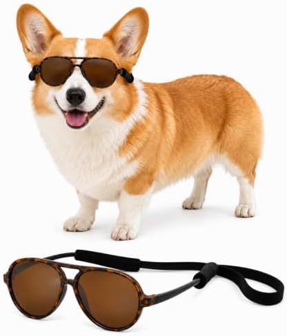 G010 Dog Pet Costume Prop Aviator Sunglasses Medium Breeds 20-40 lbs (2-Pack Black+ Tortoise Brown)