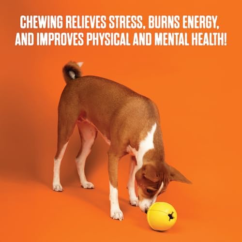 BULLYMAKE Toss N Treat Beach Ball Dog Toy, Treat Dispensing, Rubber Dog Toy