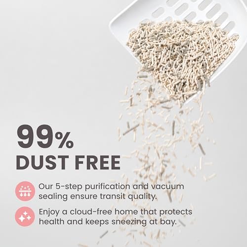 Lady N Tofu Cat Litter, Low Dust Compatible with Auto-Box Unscented 9lb