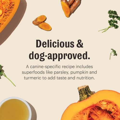 The Honest Kitchen Instant Turkey Bone Broth for Dogs & Cats with Turmeric, Human Grade Pet Food, Hydration Supplement, Digestive & Joint Support, Meal Topper, Treat or Enrichment, 3.6 oz Makes 64 oz