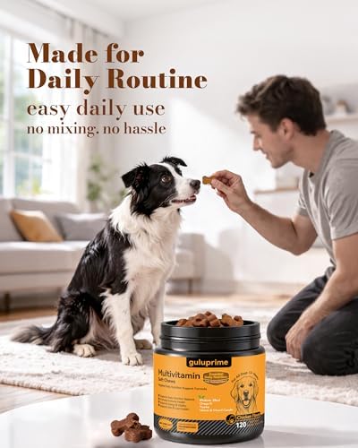 Dog Multivitamin Soft Chews: 5-in-1 Formula with CoQ10, Omega-3 and Lutein