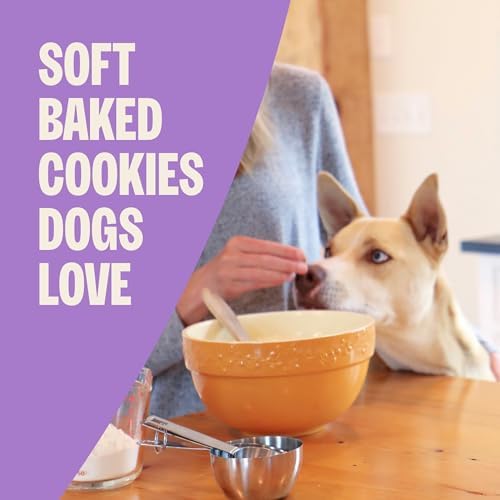 Wellness Old Mother Hubbard Wholesome Indulgences Soft-Baked Dog Biscuits, Natural Treats, Peanut Butter and Banana Flavor, 10 oz Bag