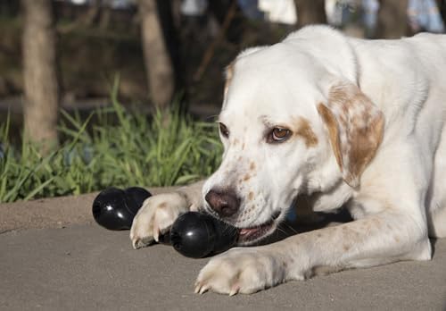 KONG Extreme Goodie Bone, Durable Natural Rubber, Black, for Medium Dogs