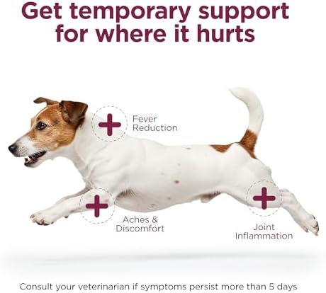 Vetality Canine Aspirin, Fast Pain Relief for Small to Medium Dogs, 75 ct