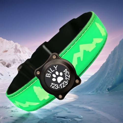 Customlized Name Flashing USB-C led Light up Dog Collar with airtag Holder, Subversive 3D Design Comfortable and Soft Material,Multicolored Lighting (Green, XL(19.7-23.6"))