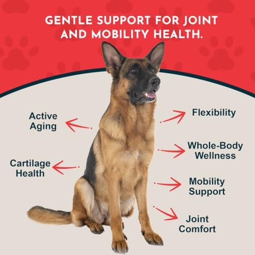 Animal Essentials Joint Supplement for Dogs & Cats, 60 Soft Chews