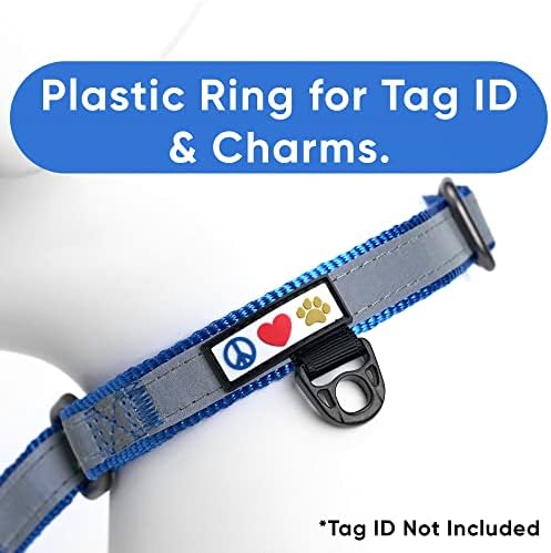 Pawtitas Personalized Dog Collar Martingale Dog Collar with Name Phone Number Reflective Martingale Dog Collar Customized Collar for Small Dogs | Blue Custom Dog Collars for Small Dogs