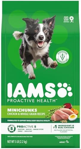 IAMS Proactive Health Adult Minichunks Dry Dog Food, Chicken, 5 lb