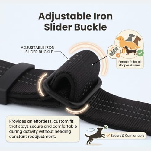 Dog Collar with AirTag Compatible Holder + Leash, Cobra Buckle, Padded, (L)