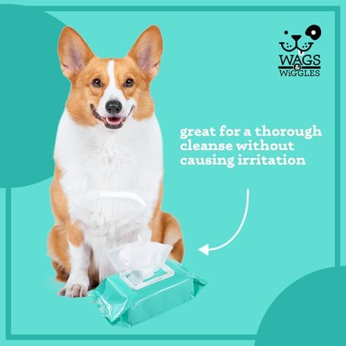 Wags & Wiggles Hypoallergenic Dog Wipes, Fragrance-Free, 100 Count, 12-Pack