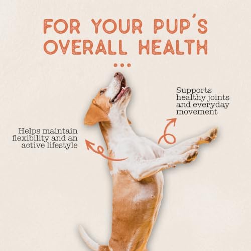 Dog Treat Naturals Skin Support Postbiotic Dog Treats 10oz | Dog Supplement for Joint Health, Sensitive Skin, Season Allergies | BlackBerry & Raspberry