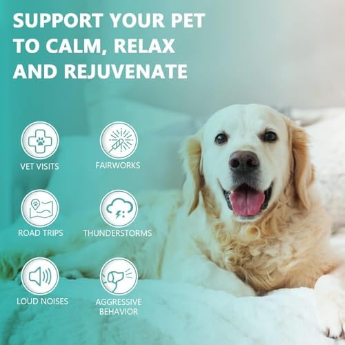 (2 Pack) Max Potency Hemp Oil for Dogs & Cats - Help Anxiety Stress Pain Inflammation Arthritis Aggressive Relax Sleep Allergies Seizures Relief - Treats Chews Joint & Hip - Organic Pet Calming Drops