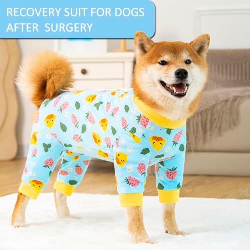 Dog Recovery Suit for Small Medium Large Dogs, Pet Onesie After Surgery Comfort Dog Bodysuit Anti Licking (4X-Large, Blue)