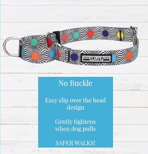 Lucky Love Dog Martingale Collar & Leash Set No Slip Cute – SOCO, Medium