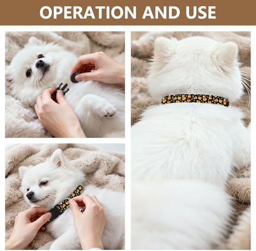 2 Pack Kitten Collars Halloween Candy Corn Black Dog Collar with Bell, Adjustable 10.6 to 17.1 Inches