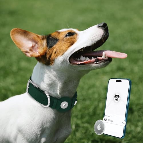 Leather Dog Collar with Airtag Holder - Apple Air Tag Dog Collars - Soft Tracking GPS Pet Collar for Small Medium Large Dogs Breed Puppy (Green, M, 12"-15" Neck Fit)