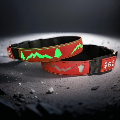 Customlized Name Flashing USB-C led Light up Dog Collar with airtag Holder, Subversive 3D Design Comfortable and Soft Material,Multicolored Lighting (RED, M(11.8-15.7"))