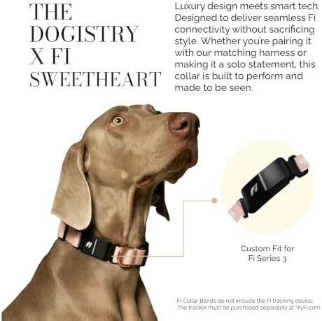 DOGISTRY - Fi Sweetheart Collar - GPS Dog Collar Band - Large