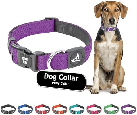 Dog Collar for Medium Dogs (Width- 3/4", Length - 17"-21.5") | Adjustable Padded Amethyst Dog Collar with Heavy Duty D-Ring | Soft Comfortable Fit for Medium Dogs | (Amethyst, Medium)