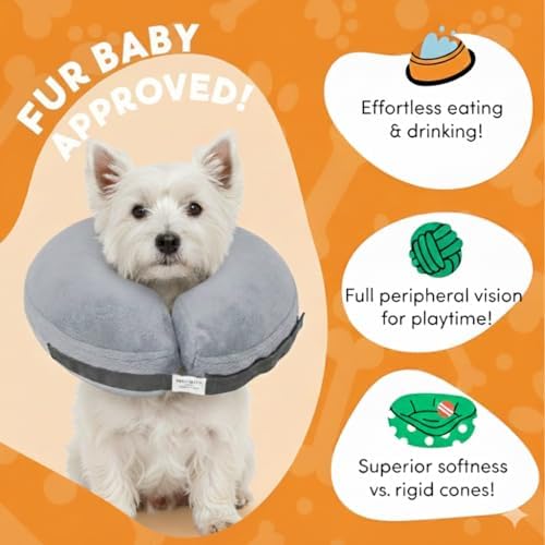 PAWRELIEF Soft Inflatable Dog Cat Cone Collar – Pet Recovery & Protective Dog Neck Collar for Small Dogs Cats to Prevent Scratching, Licking (Gray, Small)