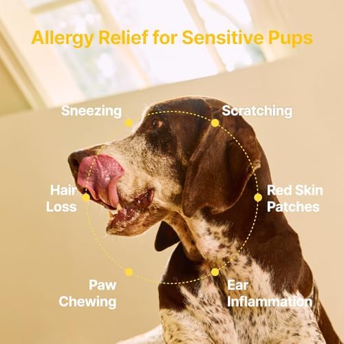 PENPEN Dog Allergy Chews - Turmeric & Omega 3 (Fish Oil) for Antioxidant Support, Anti-Itch Skin Health & Probiotics for Gut & Immune - Chicken Flavor - 180 Soft Chews